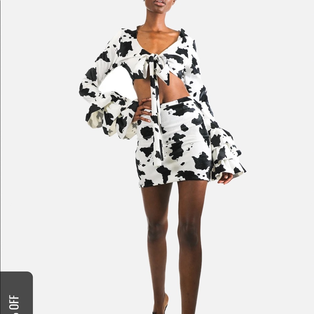 IN SEARCH OF - grayscale cruella set